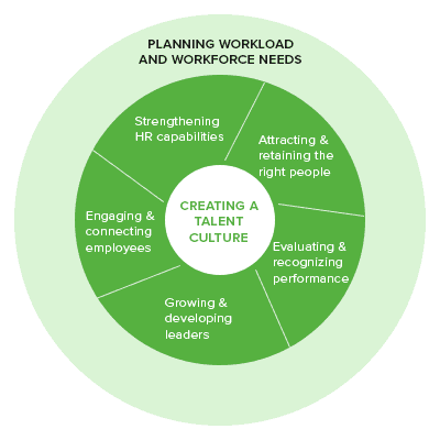 Integrated Approach to Talent Management